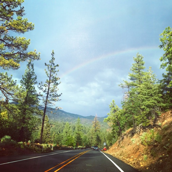 Meet your Posher, Emma - Picture 1 of 1